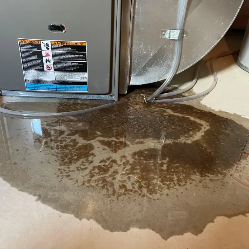 Appliance Leak Cleanup in Dublin, NH